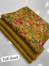 Plain Marina Suit with Ari work Woolen Embroidered Shawl