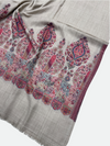 Kani Woolen Pula Border Shawl -01
