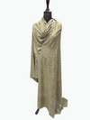 Pistachio Pure Pashmina Sozni Jaal Shawl – White Hand Embroidery