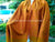 Beautiful Mustard Colour with Sozni Allover Designer Jaal