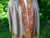 Un Dyed Taupe Border Embroidery Cashmere Shawl