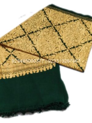 Green Aari work Jama with Embroidery