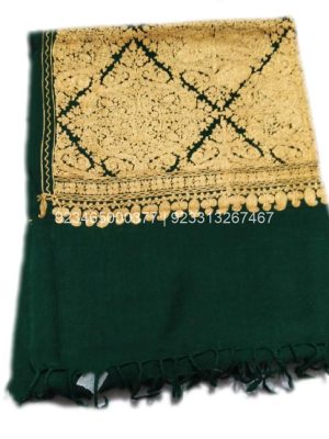 Green Aari work Jama with Embroidery